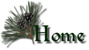 pineconhome.jpg (4666 bytes)
